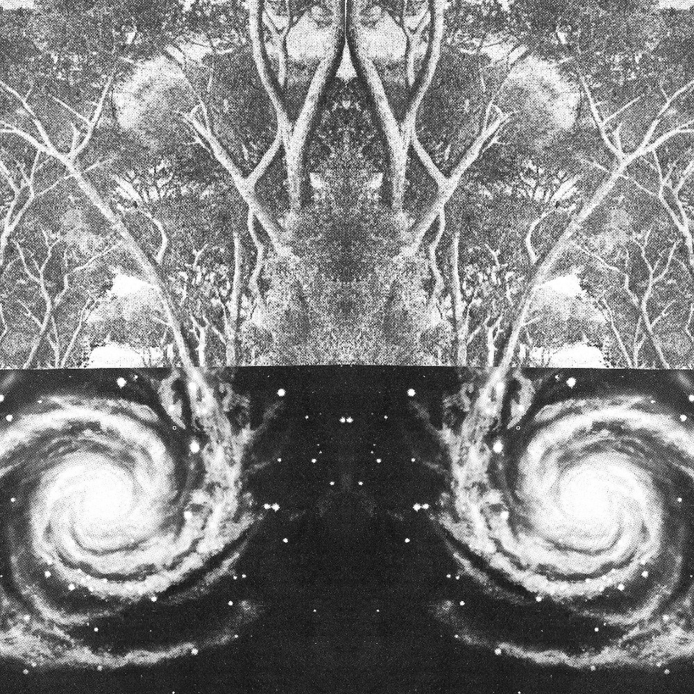 Meet your Posher, Rhoneil